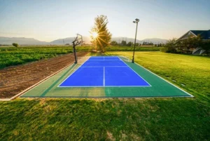 pickleball court sun.gif jpg