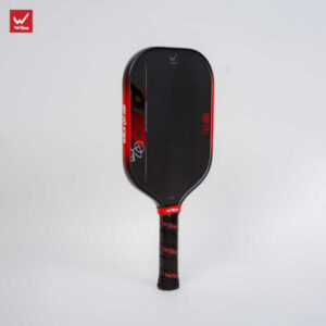 vot pickleball wika quang duong air do 6