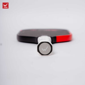 vot pickleball wika quang duong fire do 10